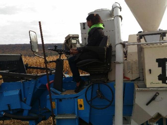 A researcher on a tractor in the middle of a field