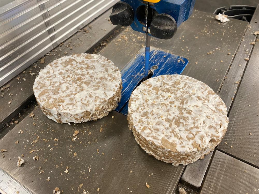 Samples of mycelium being grown on biomaterials are shown on the platform of a table saw.